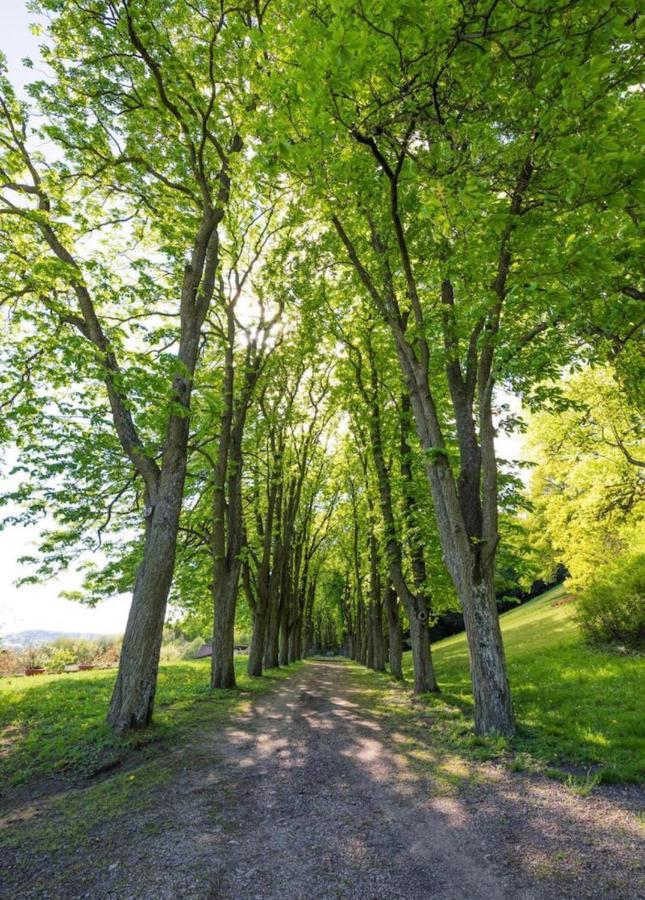Urlaub In Schlossnaehe Artstetten Exteriör bild